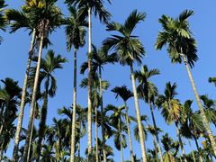 -红色娘子军纪念园