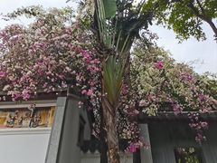 -深圳国际园林花卉博览园