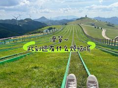 -仰天湖大草原