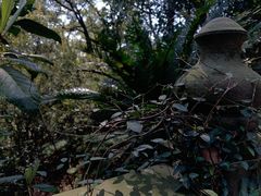 -宁波市保国寺古建筑博物馆