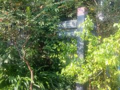 android_upload_pic-小洲村