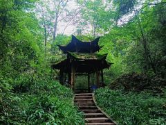-青城山