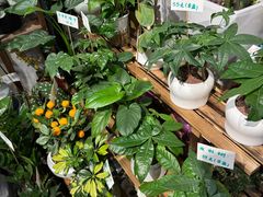 -肖家河家常面(肖家河北街店)