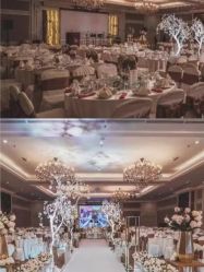 -格乐利雅婚礼艺术中心(南外滩店)