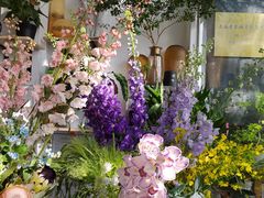 -FEI FEI FLOWER鲜花店·气球派对·宝宝宴布置(虹口德必运动Loft店)