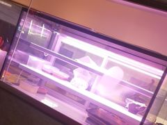 -虎哥六韩式烤肉料理 TIGERGRILL(隆生金山湖中心购物广场店)