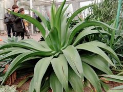 -北京植物园-展览温室