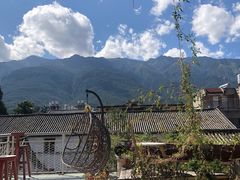 -喵屿·大理花园猫咖