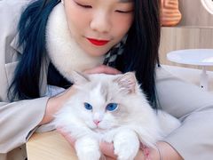 -瞄一喵猫咖(格力海岸店)