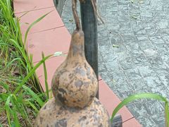 -广州神农草堂中医药博物馆