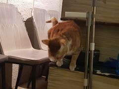 -逃脱反斗城沉浸剧情密室(北京路店)