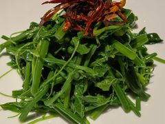 山茶油丝瓜尖-清水亭湖北菜(大屯DT51店)