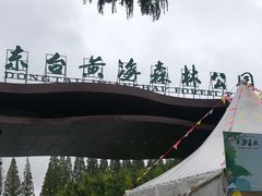 -黄海国家森林公园