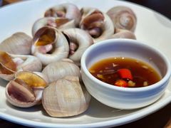 白灼香螺-小厨师·二十年沈家门小海鲜(百井坊巷店)