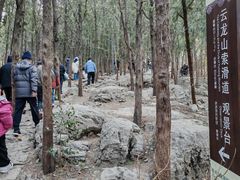 -云龙山