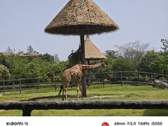 -南昌动物园
