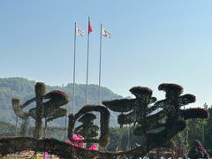 -东南花都花博园