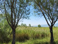 -野鸭湖国家湿地公园