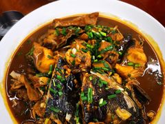 -全乐鱼馆·淳牌有机鱼直营店