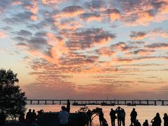 -宝安西湾红树林湿地公园