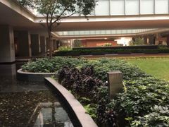 -香港大学