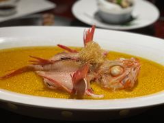 鸡油姜酒蒸金吉鱼-解香楼(八盘岭路店)