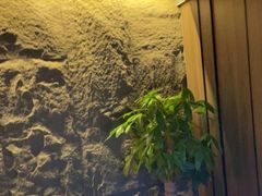 -天禧影院式足道·SPA(梅林店)