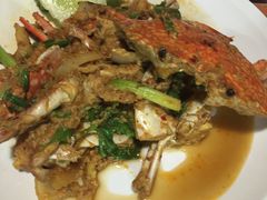 -Jungle Kitchen