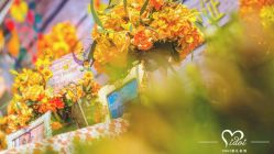 -IDOI婚礼策划·IDOIWEDDING