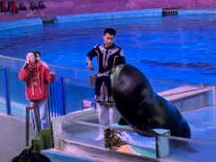 -横店影视城梦幻谷园区