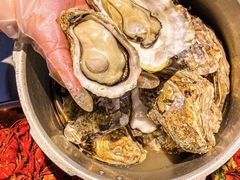 -杨氏青龙虾·羊蝎子(托乐嘉店)