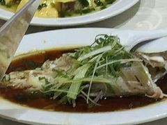 -凤城礼记鱼翅海鲜酒家(新马路总店)