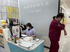 -瑞派·爱瑞可动物医院·口腔专科(广华新城分院)