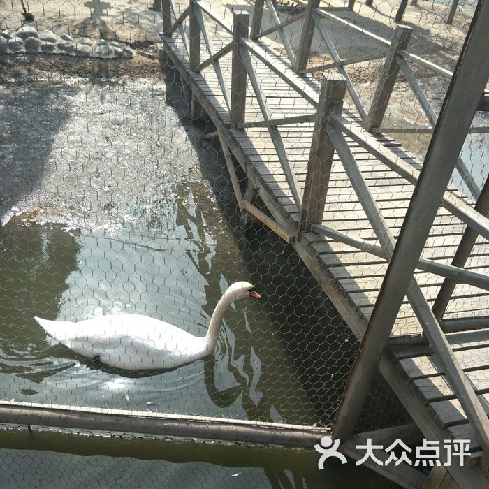 太原動物園