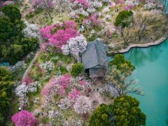 -西溪国家湿地公园