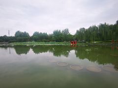 -云居湖