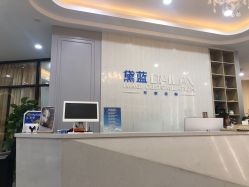 -黛蓝形象定制