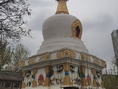 -护国法轮寺