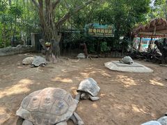 -广州长隆飞鸟乐园