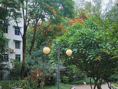-晓港公园
