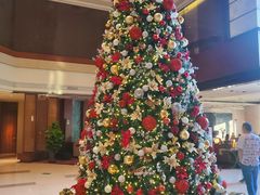 -深圳星河丽思卡尔顿酒店
