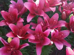 -长春公园(普阳街道)