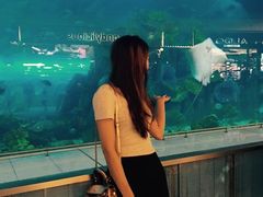 -迪拜水族馆及水下动物园