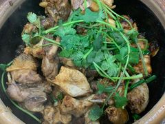 -华仔土鸡店(南洲分店)