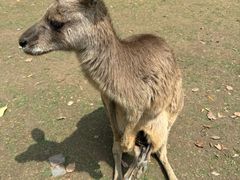 -上海野生动物园