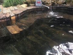 -宁海森林温泉