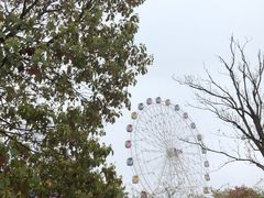 -如皋市龙游湖欢乐世界