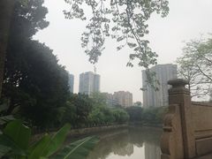 -晓港公园