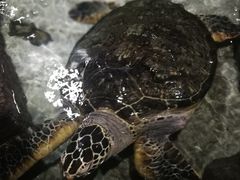 -杭州海底世界