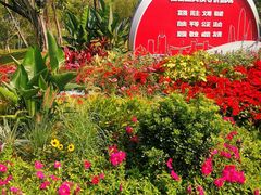 -人民公园(罗湖区)